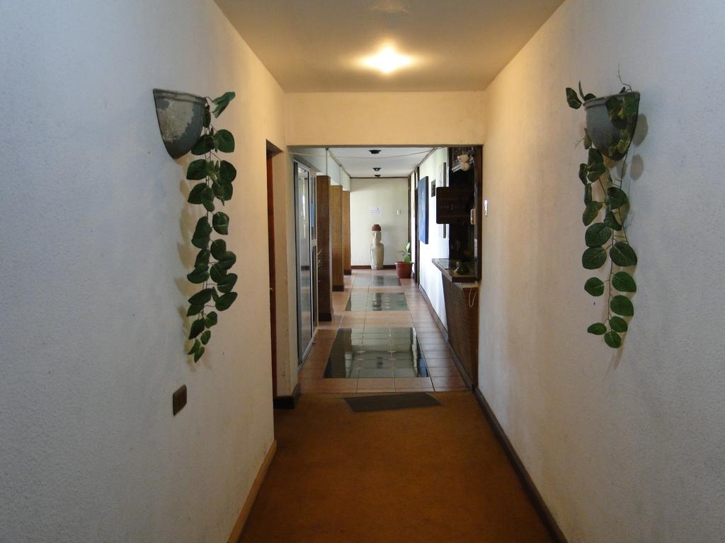 Tupa Hotel อังกาโรอา ภายนอก รูปภาพ