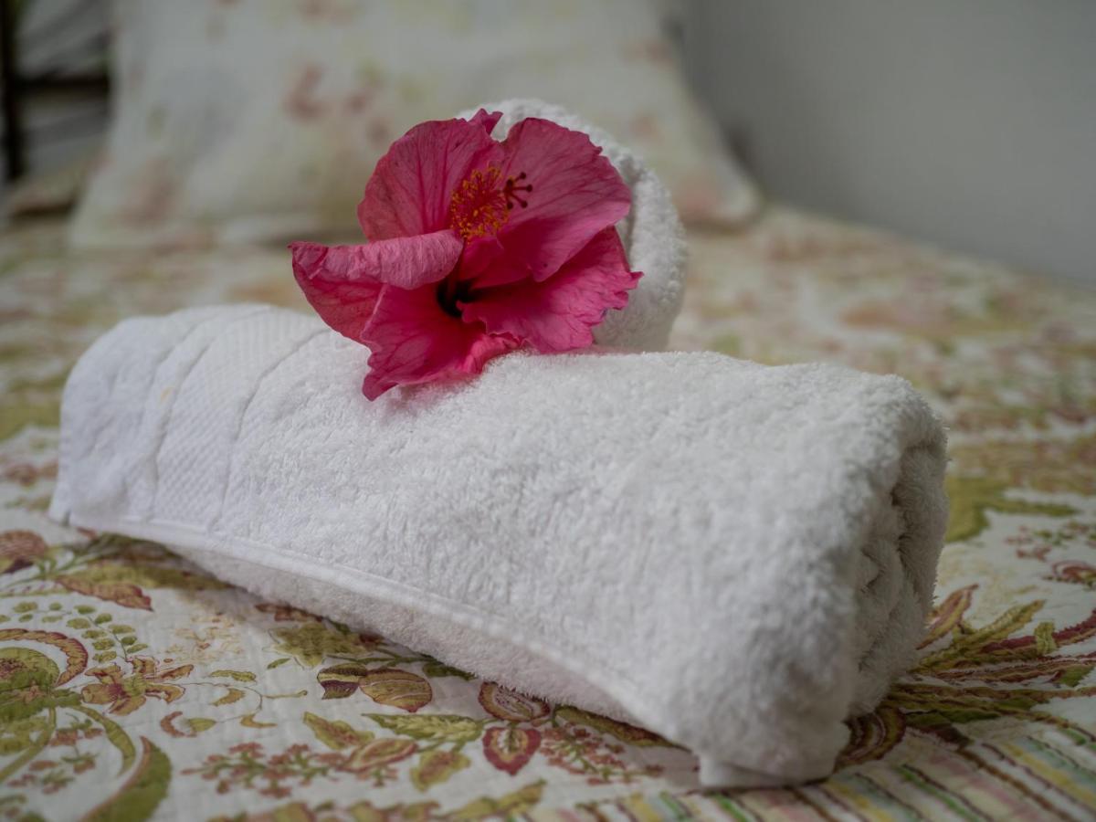 Tupa Hotel อังกาโรอา ภายนอก รูปภาพ