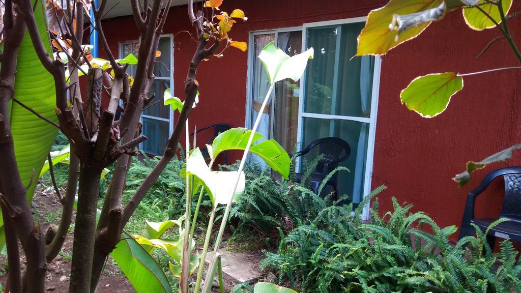 Tupa Hotel อังกาโรอา ภายนอก รูปภาพ